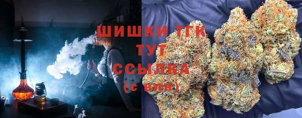 бошки Аркадак