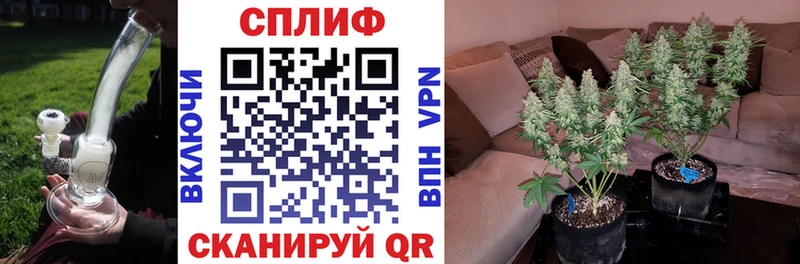 дарк нет наркотические препараты  Богородск  Марихуана планчик 